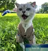 Simple New Fashion Brand Pet Sweater Cute Bear Cardigan Cat Dog Small and Medium-Sized Dogs Clothing