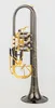 Austria Schagerl BB Trąbowa zawór obrotowy typ B Flat Brass Flat Key Professional Trumpet Musical Instruments