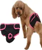 Vêtements de chien Couche pour animaux de compagnie Short physiologique lavable pour chiens femelles Durable Soft Doggie Sous-vêtements Sanitaires Accessoires3666833