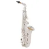 Kaluolin Brand Japan عالية الجودة ALTO Saxophone E-Flat Sax Silver Alto Pukpance Reed Musical آلة موسيقية حرة