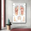 Akupunktura Punktowa tabela Anatomii Plakat sztuki Refleksologia stóp Płótno malarstwo Malowanie drukowane na ścianę do salonu wystrój domu 240127