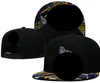 Ball Caps 2023-24 Minnesota''vikings''unisx moda bawełniana batball snapback dla Mn Womn Sun Hat Bon Gorras '' Mbroidry Spring Cap A2