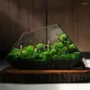 Wazony mikro krajobraz plantator mchu zbiornik deszczowy geometryczny szklany pokój kwiatowy nieregularny ekologiczny wazon soczysta roślina wodna