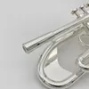 Nowy europejski srebrna tablica B, pogorszyły instrument trąbki, aby grać w mosiężną trąbkę na poziomie egzaminacyjnym