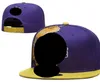 Casquettes de baseball 2023-24 Minnesota''Vikings''unisx Fashion Cotton Basball Snapback pour Mn Womn Sun Hat Bon Gorras'' Mbroidry Spring Cap a2