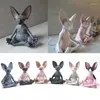 Decorative Figurines 8/13cm Sphynx Cat Meditate Resin Figurine Animal Model Doll Toys Hairless Home Decor Outdoor Garden Statue