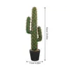 Fleurs décoratives grande fausse fleur Cactus Planta Faux Cactus plantes décoration Simulation en plastique