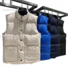 Diseñador de invierno Down Chaleco para hombres Insignias para mujer para mujer chaqueta follar de parkas para hombres impermeables chaquetas sin mangas