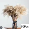 Decorative Flowers 100Pcs Pampas Grass Home Decor Natural Dried Bunny Tails DIY Boho Wedding Arch Arrangement Farmhouse Bathroom Decoration