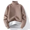 Pulls pour hommes Pull à col roulé pour hommes Pull d'hiver Mode coréenne Rayé Casual Gardez au chaud tricoté pour