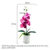 Decorative Flowers YOMDID Potted Fake Orchid Flower Artificial Plant Excellent UV-resistant Faux Bonsai Outdoor Indoor For Balcony Christmas