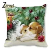 Cuscino tenuto in scatola regalo Natale cane Babbo Natale calzini per dormire animale domestico gatto copertina stampata morbida custodia corta in peluche (senza cuscini)