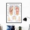 Akupunktura Punktowa tabela Anatomii Plakat sztuki Refleksologia stóp Płótno malarstwo Malowanie drukowane na ścianę do salonu wystrój domu 240127