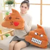 Funny Emotional Poop Shit Plush Pillow Stuffed Cartoon Plushie Peluche Decor Sofa Chair Back Support Party Prop Kids Men Gift 240119