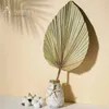Dekorativa blommor naturliga torkade palmblad bukett boho heminredning kanin svansgräs bröllop för vackert vardagsrum dekoration