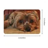 Tapis Yorkshire Terrier Yorkie Dog Tapis de porte d'entrée antidérapant à séchage rapide, paillasson d'intérieur, cuisine, balcon, salon, entrée