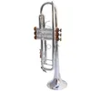LT180S 37 Tromba Autentica Doppia Placcata Argento B Flat Tromba Professionale Top Strumenti Musicali Ottone Bugle Bb Trumpete FRE