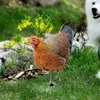 Garden Decorations Decoration Outdoor Chicken Statue Weatherproof Sculpture Hen Figurine For Backyard