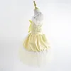 Bühnenabnutzung Ballett Tutu Rock Professionelle Mädchen Swan Dance Performance Langes Kleid für Erwachsene Frauen Kostüme Samt Top