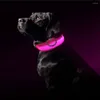 Halsbanden LED-halsband Knipperend Gloeiend USB Oplaadbaar Lichtgevend veiligheidsnachtlampje Zorgt ervoor dat uw geliefde honden gezien worden