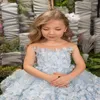 Girl Dresses Light Blue Flower With Stickers Short And Cute Communion Dress Birthday Party Formal Event Customization