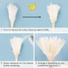 Flores decorativas 30 pcs branco pampas grama fofo pampa ramo de flores secas para buquê de enchimento de vaso casa sala de estar decorações de casamento