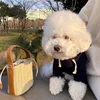 Vestuário de cachorro 2024 pulôver com capuz inverno casaco quente roupas sólidas para pequeno médio grande jaqueta teddy bichon traje suprimentos para animais de estimação