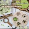 Scienza Scoperta Scienza Disery Ciclo di Vita Bordo Kit Montessori Biologia Educativa Giocattoli per bambini Vassoio sensoriale Figura animale Ordinamento Dhnoz