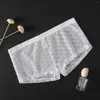 BRAS SETTS MENS ICE SILK PRANSPARENT Triangelbyxor Tunn låg midja Mesh Summer Sexig andningsbar underkläder Trendigt huvud