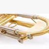 Högkvalitativ trumpet Original Silverpläterad guldnyckel Flat BB Professional Trumpet Bell Top Musical Instruments