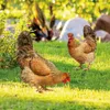 Bahçe Dekorasyonları Dekoratif Tavuklar Hava Durumu Tavuk Figürin Veranda Açık Arka Bahçe Doz Halikası