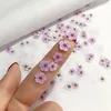 Dekorativa blommor 20st mini pressad torkad narcissus jonquilla blommor växt herbarium för epoxi hartsmycken bokmärke vykort nailart diy