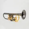 Österrike Schagerl BB trumpet Rotary Valve Type B Flat mässing Flat Key Professional Trumpet Musical Instruments