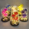 Fiori decorativi 24K Fiore artificiale Galaxy Rose Conservato per sempre Cupola in vetro per regalo per la festa della mamma di San Valentino