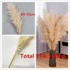 10 pièces Plume 30-75 cm grand Bouquet de fleurs séchées d'herbe de Pampas décor à la maison hautes tiges moelleuses décor de salon décoration de mariage 240130