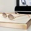 Modne okulary przeciwsłoneczne dla mężczyzn Kobiety Summer Src 035 Designer Eagle Claw w stylu Outdoor Style anty-ultrafiolet Klasyczny retro płyta Cr39 Square Brameless okulary losowe pudełko