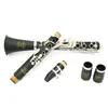 SADSN SCL-100S 17 Keys Bb Tune Clarinet Bakelite Body Silver Button B Flat Clarinet Beginner Musical Instrument with Case