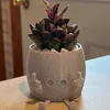 Happy Planter Cute Middle Finger Succulent Pot Kawaii Green Plants for Household Office Table Mini Decorative Flower 240127