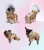 5 Color Whole Big Designer Dog Apparel for Small Large Dogs Winter Pets Coat Waterproof Puppy Jacket Windproof Doggy Snowsuit 5697030