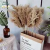 Decorative Flowers Pampas Grass Boho Dried Bouquet Wedding Decoration Natural Dry Plant Water Home Decor Living Room Party Material