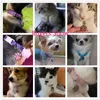 Dog Collars Leashes Personalized Free Engraving Pet Cat Name Tags Customized Dog ID Tag Collar Accessories Nameplate Anti-lost Pendant Cute Keyring