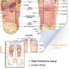 Akupunktura Punktowa tabela Anatomii Plakat sztuki Refleksologia stóp Płótno malarstwo Malowanie drukowane na ścianę do salonu wystrój domu 240127