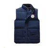 Hommes Gilet Designer Puffer Gilet Hommes Vers Le Bas Parkas Classique Sans Manches Badge Top Veste Quatre Saisons Unisexe Casual Bouton Appliques Sweat Vestes