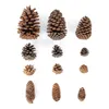 Flores decorativas 1-10pcs pinhões naturais frutas secas cones de abacaxi artificial para casa natal diy guirlanda decoração de casamento