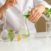 أجهزة الكمبيوتر التي يمكن التخلص منها Petri Petri Agar Plates Laboratory Tresent Glass Mushroom حامل كيمياء البلاستيك وحش