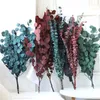 Decorative Flowers Real Natural Dried Flower 100g Eucalyptus Apple Leaf Grass Leaves Bouquet For Wedding Home Decoration Living Room