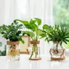 Vases Pots de plantes hydroponiques en verre transparent Vase de fleur rond avec bouchon en bois conteneur Micro paysage bouteille écologique