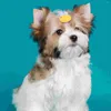 Vêtements de chien 10 pièces bande de caoutchouc pour animaux de compagnie décor bandes de cheveux accessoires pour petits chiens résine cravates de fête bandeaux de cheveux