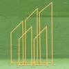 Decorative Flowers China Factory Supply Wedding Road Guide Metal Backdrop Arch Stand Set