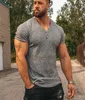 Men V Neck Short Sleeve T Shirt Fitness Slim Fit Sports Strips Tshirt Male Solid Fashion Tees Tops Summer Knitted Gym Clothing 224540679